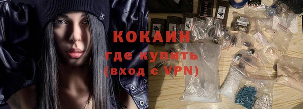 молекула духа Алексин